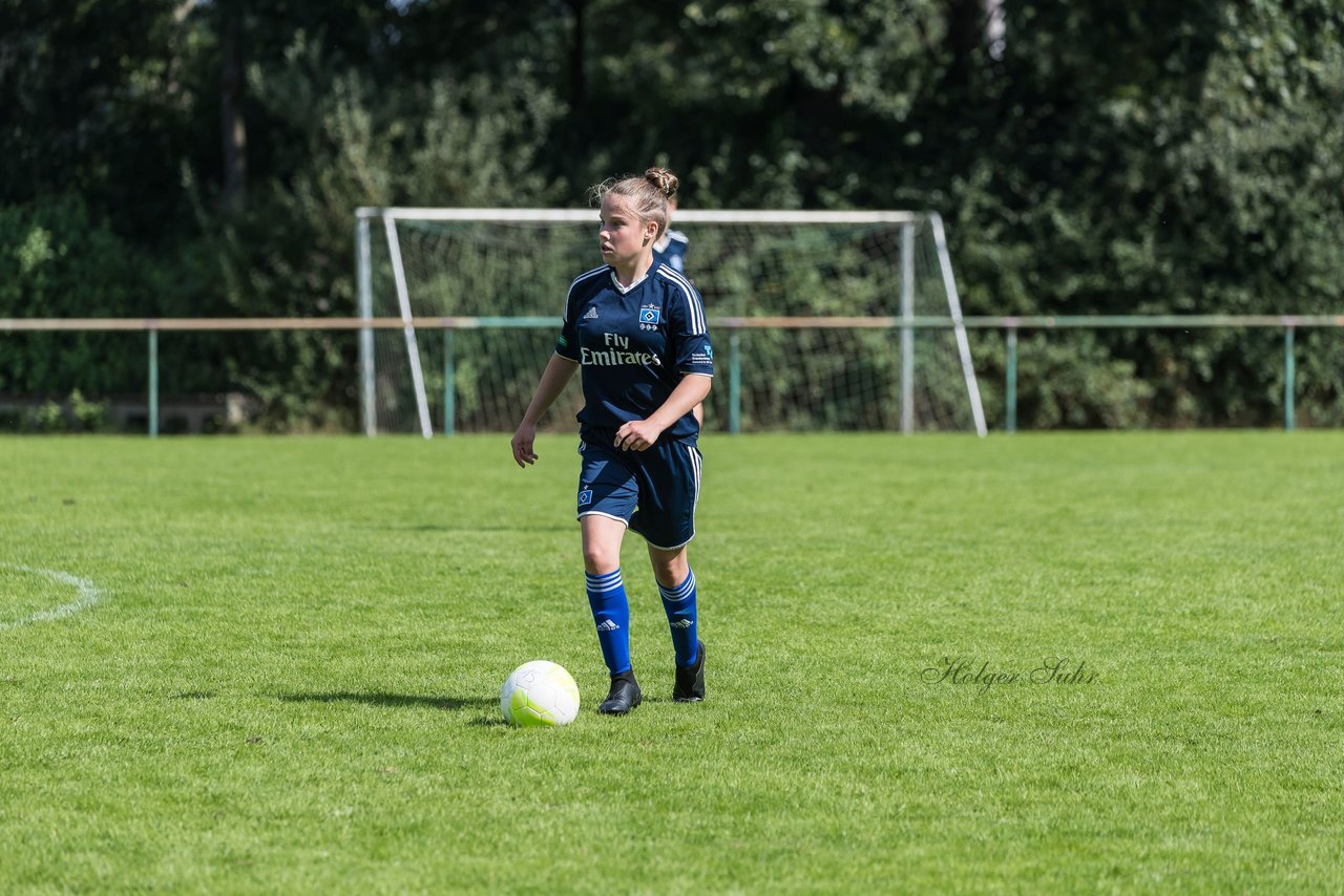 Bild 201 - B-Juniorinnen VfL Pinneberg - HSV : Ergebnis: 1:4